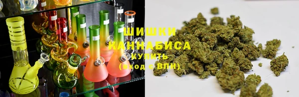 шишки Осинники