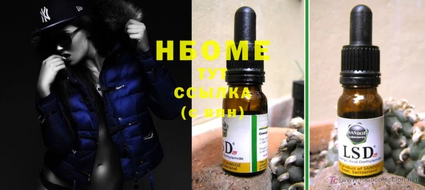 шишки Осинники