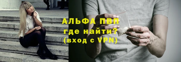 шишки Осинники