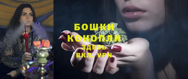шишки Осинники
