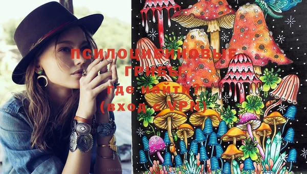 шишки Осинники