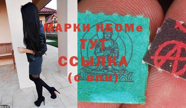 шишки Осинники